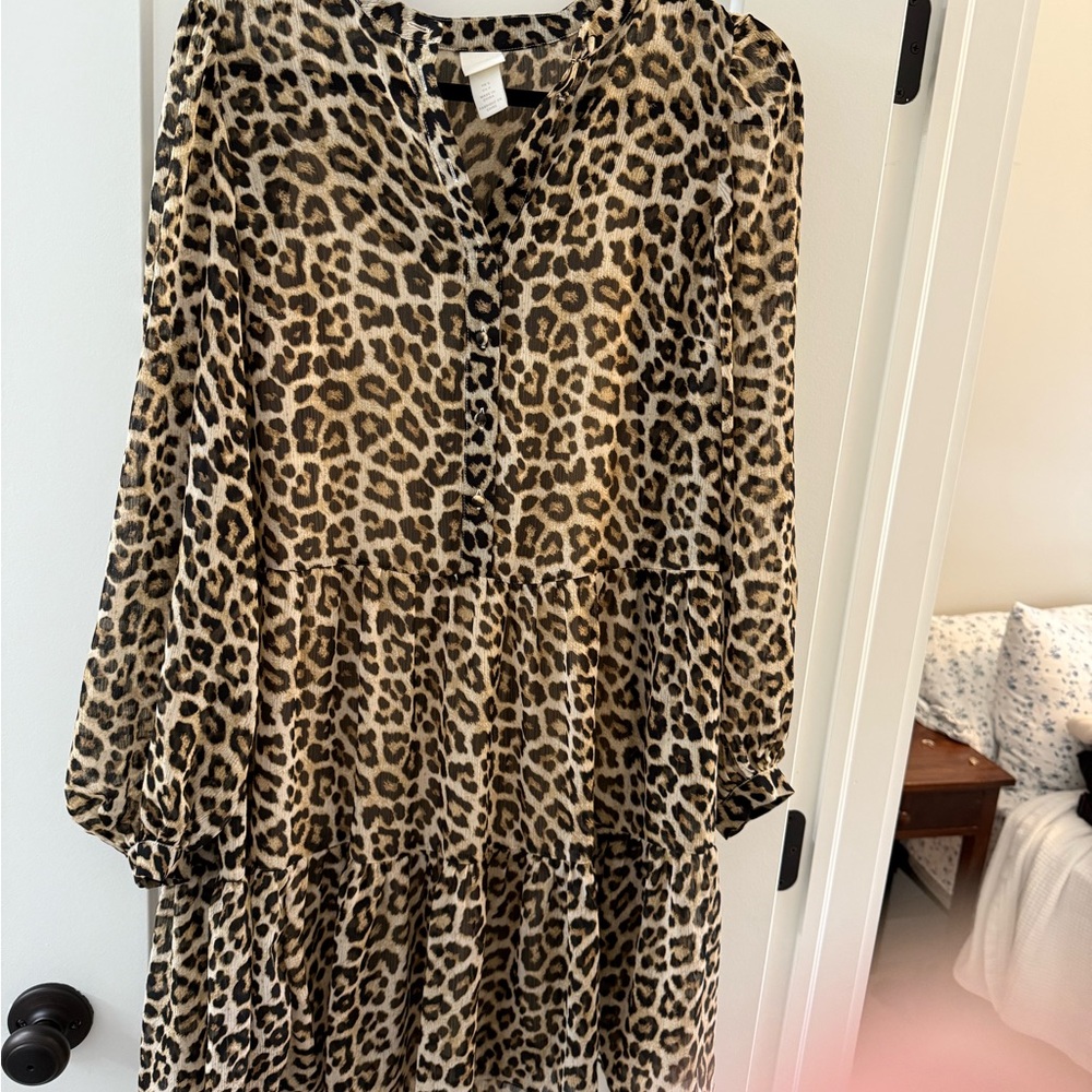 H&M Leopard Print Long Sleeve Dress
